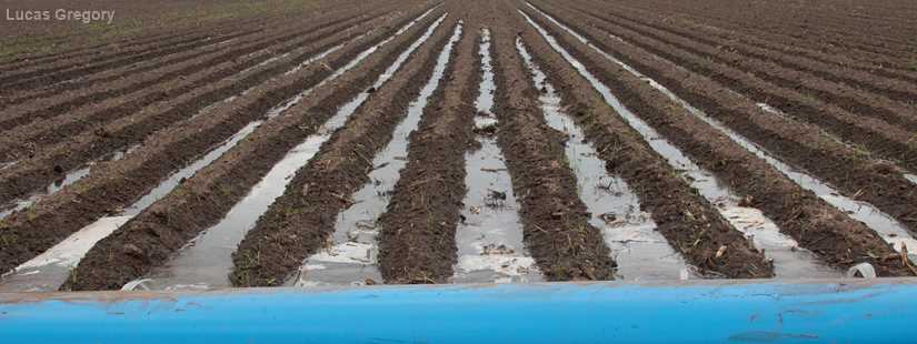 Rio Grande Valley Irrigation Management Program